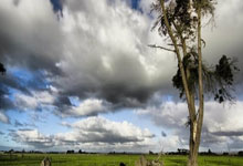 开云APP下载-全运会 | 全天综合：荣光不灭，初心终偿