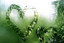 开云-全运会｜羽毛球：“雅思”夺金谢幕 翁泓阳、王祉怡单打折桂