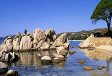 开云-全运会｜羽毛球：“雅思”夺金谢幕 翁泓阳、王祉怡单打折桂